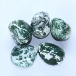 Agat drzewny duży otoczak kamień czakry naturalny przewaga zielony XL 1szt.