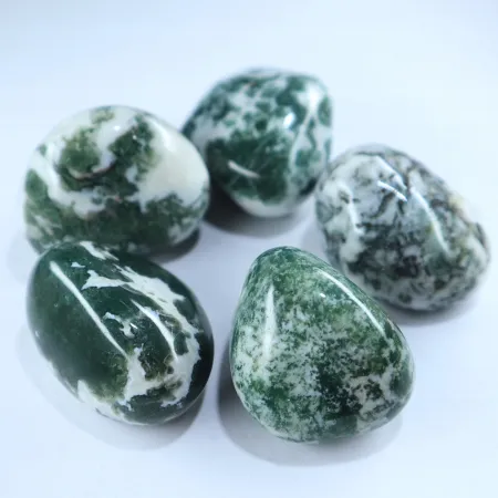 Agat drzewny duży otoczak kamień czakry naturalny przewaga zielony XL 1szt.