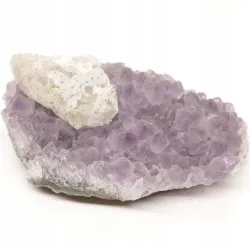 AMETYST druza szczotka czakra korony Urugwaj
