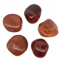 Karneol ciemny duży otoczak kamień czakry XL 1szt