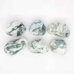 Agat drzewny mały otoczak kamień czakry naturalny 1 szt.