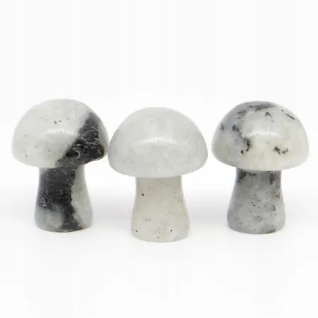 Grzyb 2cm, Kamień księżycowy biały 1 sztuka