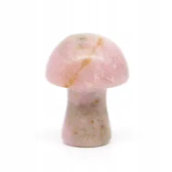 Grzyb 2cm, Kamień - Rodonit Peru 1 sztuka