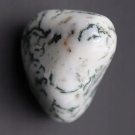 Agat drzewny duży otoczak kamień czakry naturalny rozmiar XL biały 1szt.