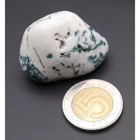 Agat drzewny duży otoczak kamień czakry naturalny rozmiar XL biały 1szt.