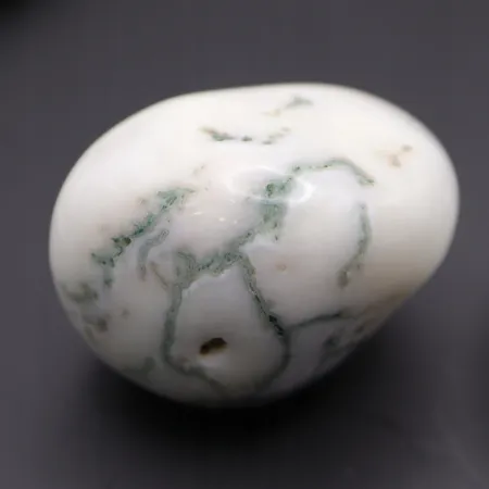 Agat drzewny duży otoczak kamień czakry naturalny rozmiar XL biały 1szt.