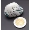 Agat drzewny duży otoczak kamień czakry naturalny rozmiar XL biały 1szt.