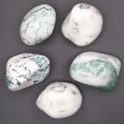 Agat drzewny duży otoczak kamień czakry naturalny rozmiar XL biały 1szt.