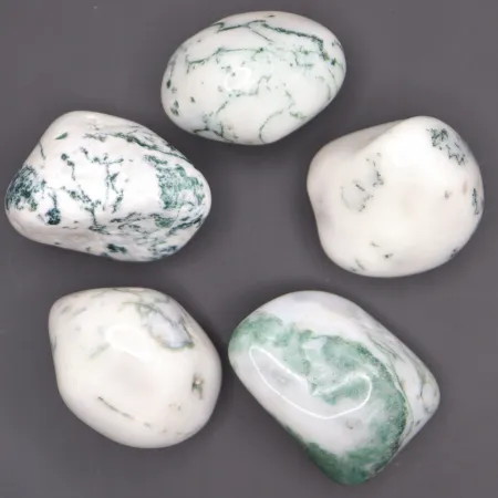 Agat drzewny duży otoczak kamień czakry naturalny rozmiar XL biały 1szt.