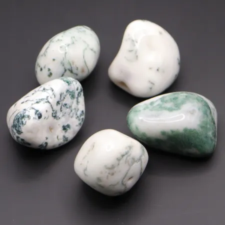 Agat drzewny duży otoczak kamień czakry naturalny rozmiar XL biały 1szt.