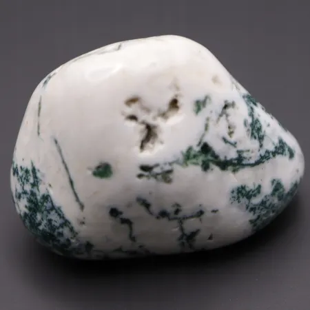 Agat drzewny duży otoczak kamień czakry naturalny rozmiar XL biały 1szt.