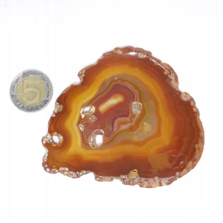 Agat czerwony plaster polerowany XL 1szt. dł. 7,7-14,1 szer. 4-7,8cm