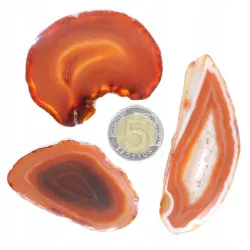 Agat czerwony plaster polerowany średni 1szt. dł. 5,1-8,4 szer.2,7-5,4cm