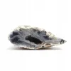 Agat feather agate geoda cięta kryształ naturalny 30gr 1szt