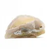 Agat feather agate geoda cięta kryształ naturalny 30gr 1szt