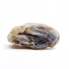 Agat feather agate geoda cięta kryształ naturalny 50gr 1szt
