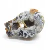 Agat feather agate geoda cięta kryształ naturalny 50gr 1szt